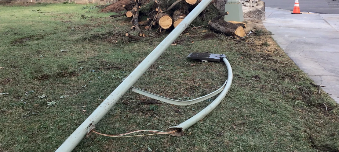 Streetlight pole knocked down by fallen tree 