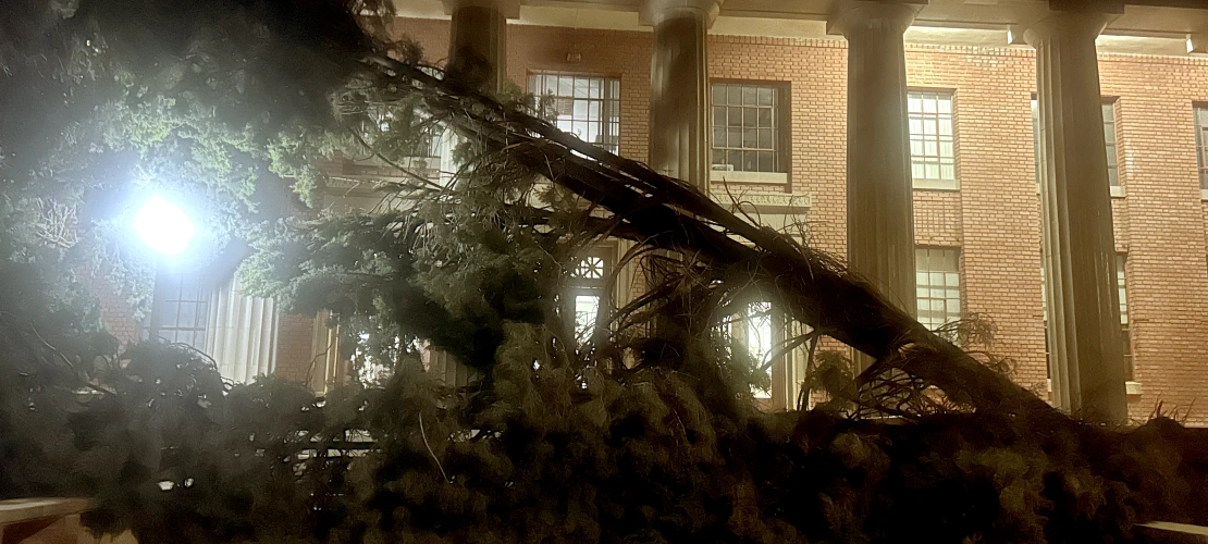 Two fallen trees across Old Engineering front porch