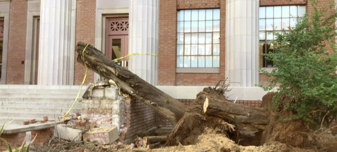 Masonry damaged on Old Engineering Building front porch by fallen trees