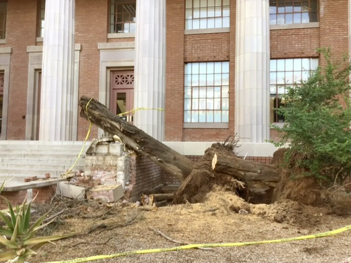 Masonry damaged on Old Engineering Building front porch by fallen trees